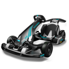 Segway Go kart PRO 2